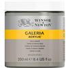 Winsor & Newton Acrilico Galeria 250 ml Terra d'Ombra Naturale Chiara