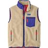 Patagonia Classic Retro-X Vest 148679939 [U]