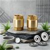 Valvola di ritegno in ottone set 2 per pz 3/4 in per idrico evitamento riflu