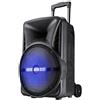 Generico Cassa Bluetooth Trolley LED e Microfono Altoparlante Karaoke Portatile