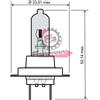 RMS 653.246510112 LAMPADA 12V 55W H7 ALOGENA BLU