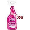BIOFORM PLUS 6 BIOFORM PLUS SPRAY IGIENIZZANTE CANDEGGINA IGIENIZZA SMACCHIA ANTIMUFFA 750ML