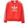 Adidas x X WALES BONNER WB Nylon Crew Sweatshirt JE5994 121711165 [U]