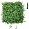 VEVOR Parete Verde Artificiale 50,8x50,8 cm, Set di 12 Pannelli in Foglie di Felce, Siepe Artificiale per Pareti e Recinzioni Decorative, Schermo Frangivista per Privacy, per Balcone Giardino Terrazzo