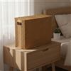 Baule Portaoggetti in Stile Rattan Robusto Cassa Intrecciata Elegante