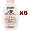 Garnier 6 PZ GARNIER ULTRA DOLCE SHAMPOO DELICATEZZA D'AVENA 250ML CAPELLI DELICATI