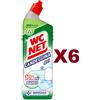 WC NET 6 PZ WC NET CANDEGGINA GEL MOUNTAIN FRESH IGIENIZZANTE 700ML