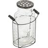 Creative Co-op Vaso in vetro con supporto in metallo con coperchio a rana in metallo