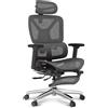 FLEXISPOT Sedia ergonomica per ufficio C7DG-Lite-Pro-V2, grigio scuro - N