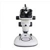 Radical Piano Ottiche Professionale Parallele Zoom Stereo Microscopio Top Fondo Luce LED