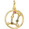 FMF Pendente Oro 18K 750 Mls. Medaglia Costellazione Oroscopo 12 MM. Gemelli