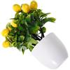 Simulazione Piccolo albero di limone con vaso Desktop Falso albero da frutto in