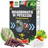 Albagarden - Bicarbonato di Potassio per Piante 1 Kg - Anticrittogamico Naturale contro Oidio e Funghi, Fungicida per Orto e Giardino, Correttore Terreno Acido, Agricoltura Biologica, Made in Italy