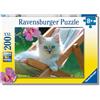 Ravensburger - Puzzle XXL Gattino Bianco | Puzzle 8 Anni In Su | Puzzle Bambini Da 200 Pezzi In Regalo | Regalo Bambino 8 Anni 49 X 36 Cm | Puzzles Ravensburger
