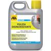 FILA Surface Care Solutions Easydek Pulizia Disincrostante Detergente, 1 Litro