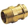Conex/baninger P4243g - Manicotto maschio p4243g 28x1