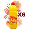 TERS 6 PZ TERS AMMONIACA PROFUMATA DETERGENTE MULTIUSO 1000ML