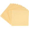 Vileda Professional,Panni PVAmicroforato,10pz,Assorbenza e Asciugatura