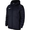 Nike Team Park 20 Winter Jacket Giacca Uomo (Pacco da 1)
