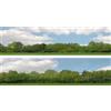 ID Backscenes Alberi (Pacco D) 2 X 5' X 15" Premium OO Gauge ID Backscenes 147D