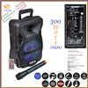 Karma Cassa amplificata bluetooth portatile karaoke professionale attiva con microfono