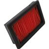 HIFLO HFA4613 FILTRO ARIA YAMAHA XT 660 X 2014