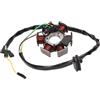 101 OCTANE 28015 STATORI ALTERNATORE APRILIA RS 50 REPLICA 2002
