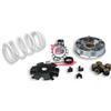453.5113790 VARIATORE KYMCO AGILITY 50 4T EU2 MALOSSI