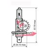 SGR 701.20122582 LAMPADA 12V 55W H1 PREMIUM PHILIPS