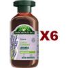 ANTICA ERBORISTERIA 6 PZ ANTICA ERBORISTERIA SHAMPOO ILLUMINANTE LAVANDA CAPELLI NORMALI 225ML
