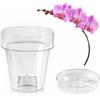 Teraplast Porto Vaso trasparente con supporto per orchidee, con 4 fori di drenag