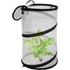 Barriera rotonda 30 cm x 50 cm protezione piante recinzione in rete con per