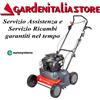Euro Systems Scarificatore EUROSYSTEMS SC42 Benzina Motore RATO R170 da 173 cc Made in Italy