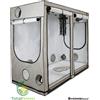 Homebox ambient growbox 240x120x200h serra indoor tenda coltivazione piante gro