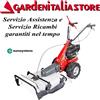 EUROSYSTEMS Trinciaerba Falciatutto PRO Eurosystems Minieffe B&S 625 con RM Multiattrezzo
