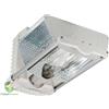 PAPILLON BV Riflettore lampada philips accensione elettronica illuminazione piante orticola