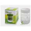 DOTTO SEMENTI Germinatore semi germogliatore domestico 5 livelli piante ortaggi orticoltura