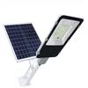 Lampione Stradale Pannello Solare Esterno 6500K Luce Fredda 30W Staffa