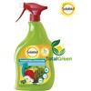 Solabiol Insetticida solabiol abbattente pfnpo piretro naturale bio orto afidi piante