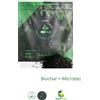 Biochar Ammendante biologico suolo fertile crescita piante rigogliose