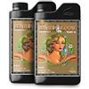 Advanced Nutrients pH perfect sensi coco bloom a+b fertilizzante crescita fiori
