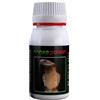 Agrobacterias Insetticida bio protezione piante contro larve bruchi agrobacterias snake poison