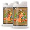Advanced Nutrients fertilizzante nutrimenti fioritura coltivazione fibra di cocco Sensi Bloom A+B