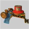 Novacomet MINICENTRALINA 2 ATTACCHI CON REGOLATORE - Kg 10 con regolatore BP 2205