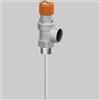 Far VALVOLA DI SICUREZZA COMBINATA PER IMPIANTI SOLARI - 6 BAR 1/2x1/2