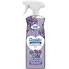 COCCOLATEVI BLOOM ALCOOL 60° LAVANDA PROFUMA E DETERGE SUPERFICI SPRAY 750ML