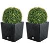 WELL HOME MOBILIARIO & DECORACIÓN WellHome Set di 2 vasi per piante Ratto da 32L con contenitore per piante, antracite 32x32x32,5 cm + sfera di bosso diam. 27 cm