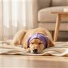 Cappuccio Paraorecchie per Cani Elastico Sicuro