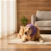 Cappuccio Paraorecchie per Cani Elastico Sicuro