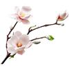 Fiori finti Soft Touch EVA per magnolia con steli modellabili per decorazione